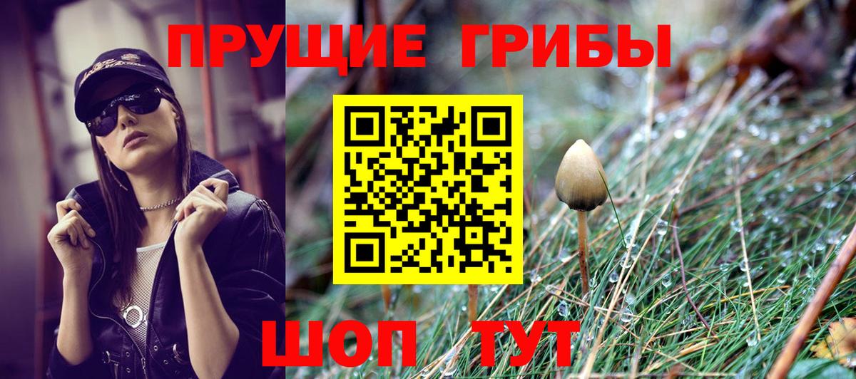 Галлюциногенные грибы MAGIC MUSHROOMS  Вход с VPN  Калуга 