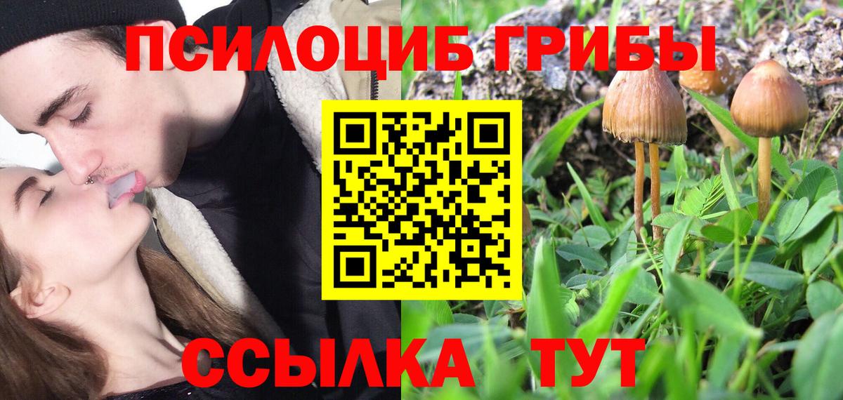 Галлюциногенные грибы Magic Shrooms Калуга